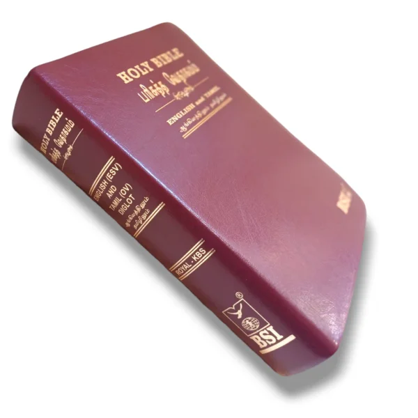 Tamil English Diglot Bible (8)