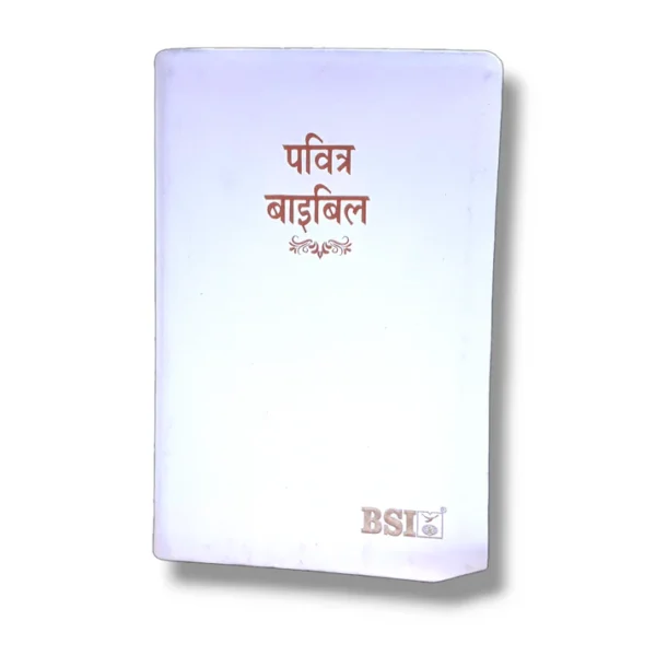 Bsi Hindi Bible (1)