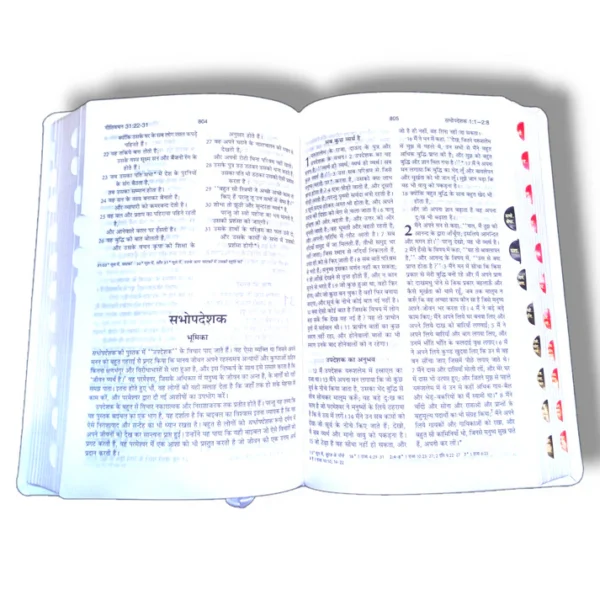 Bsi Hindi Bible (2)