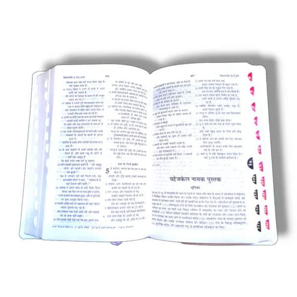 Bsi Hindi Bible (3)