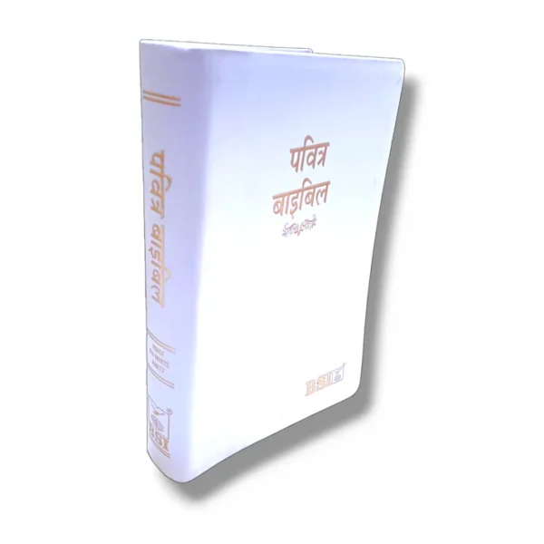 Bsi Hindi Bible (4)