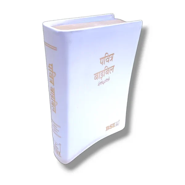 Bsi Hindi Bible (6)
