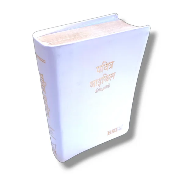 Bsi Hindi Bible (7)