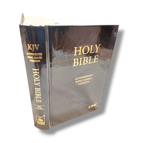 Compact Size Kjv Bible (7)