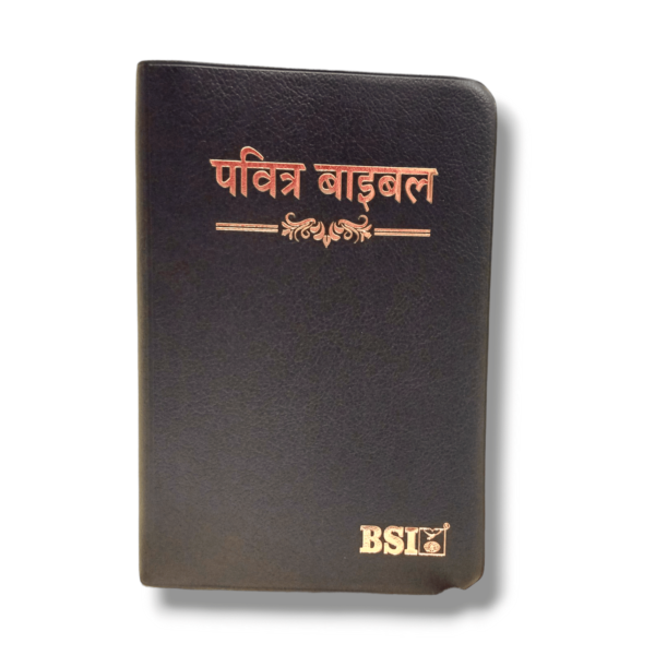 Hindi Crown Vinyi Black Bible (2)