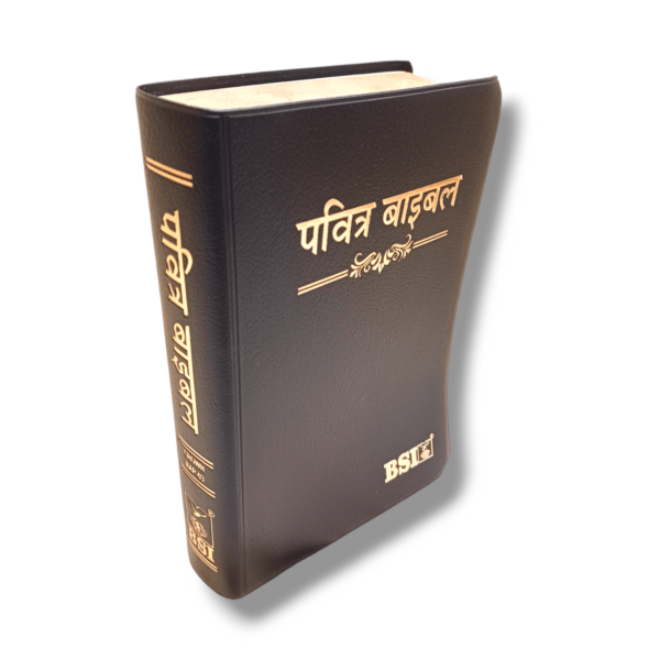 Hindi Crown Vinyi Black Bible (4)