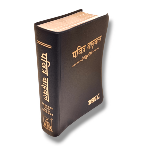 Hindi Crown Vinyi Black Bible (5)