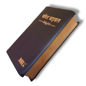 Hindi Crown Vinyi Black Bible (6)