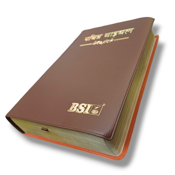 Hindi Crown Vinyi Brown Bible (4)