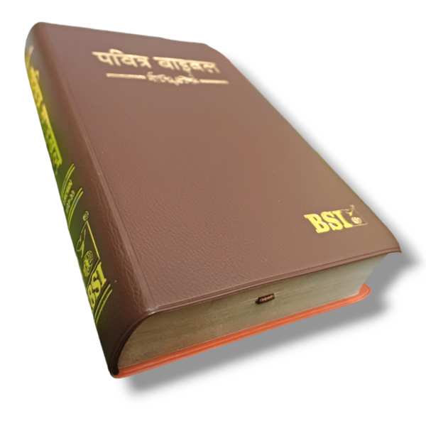 Hindi Crown Vinyi Brown Bible (5)