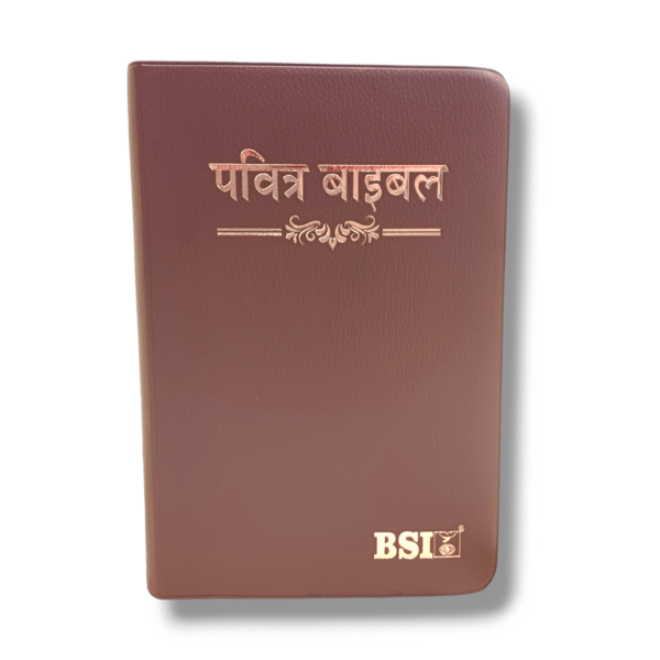 Hindi Crown Vinyi Brown Bible (6)