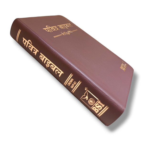 Hindi Crown Vinyi Brown Bible (7)