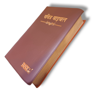 Hindi Crown Vinyi Brown Bible (8)