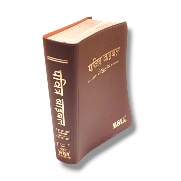 Hindi Crown Vinyi Brown Bible (9)