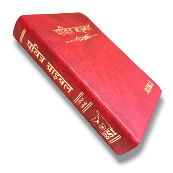 Hindi Crown Vinyi Maroon Bible (2)