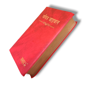 Hindi Crown Vinyi Maroon Bible (3)