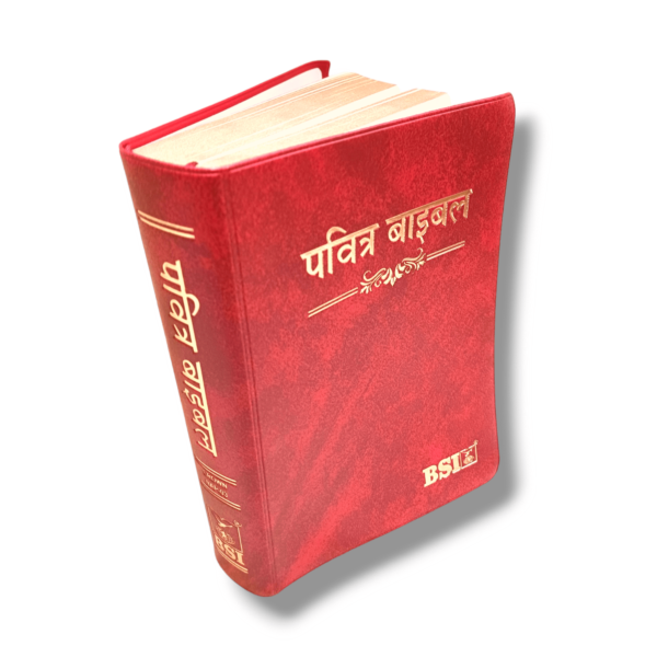 Hindi Crown Vinyi Maroon Bible (4)