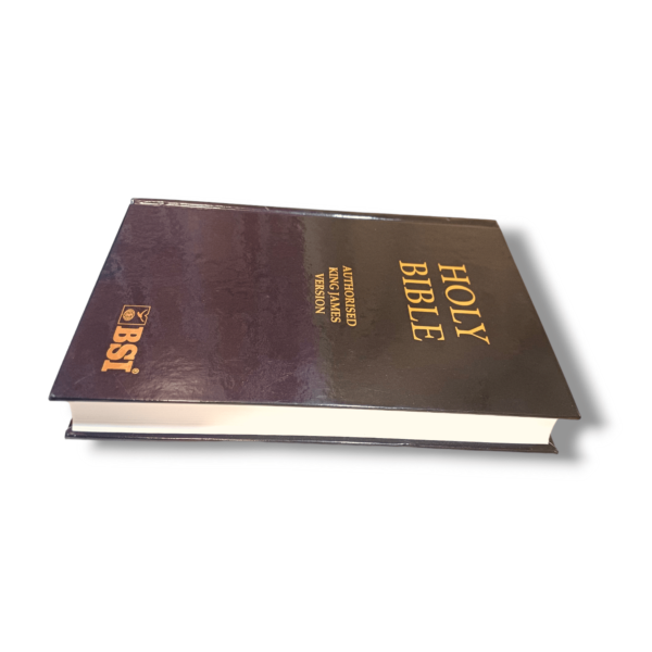 Normal Size Kjv Bible (6)