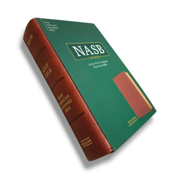 Nasblargeprintbible 3