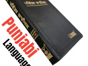 Punjabibible 6
