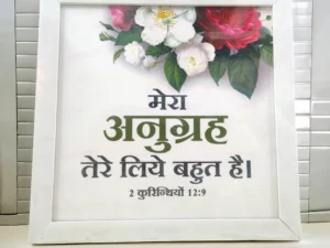 FRAMES 31478899