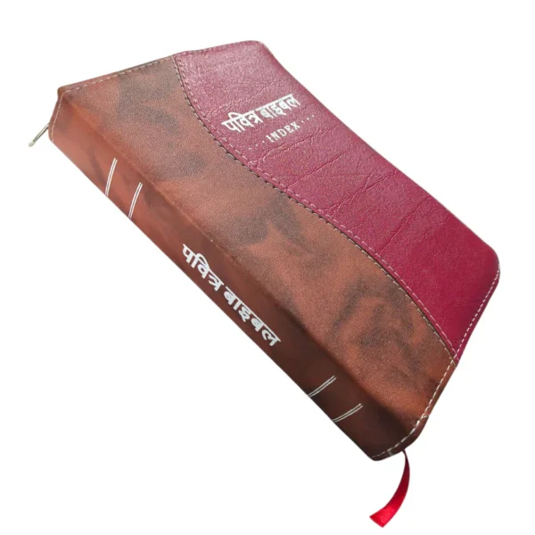 Compact Hindi Bible