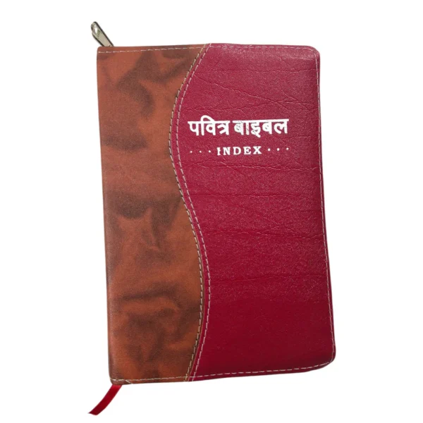 Compact Hindi Bible