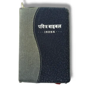 Compact Hindi Bible DOUBLE COLOR