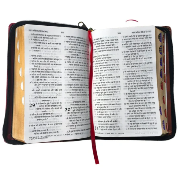 Compact Hindi Bible