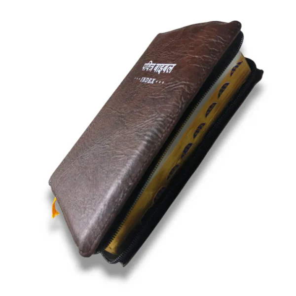 Compact Hindi Bible BROWN LEATHER COVER