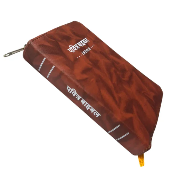 Compact Hindi Bible brown