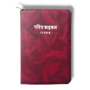 Compact Hindi Bible Maroon