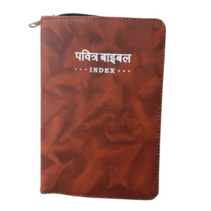 Compact Hindi Bible brown