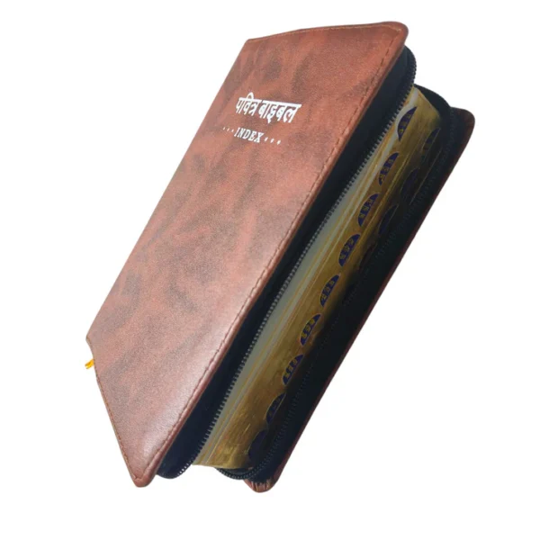 Compact Hindi Bible brown