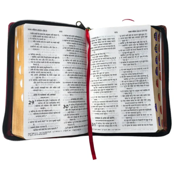 Compact Hindi Bible yellow with Orange