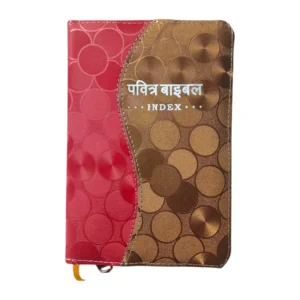 Compact Hindi Bible Red and Golden