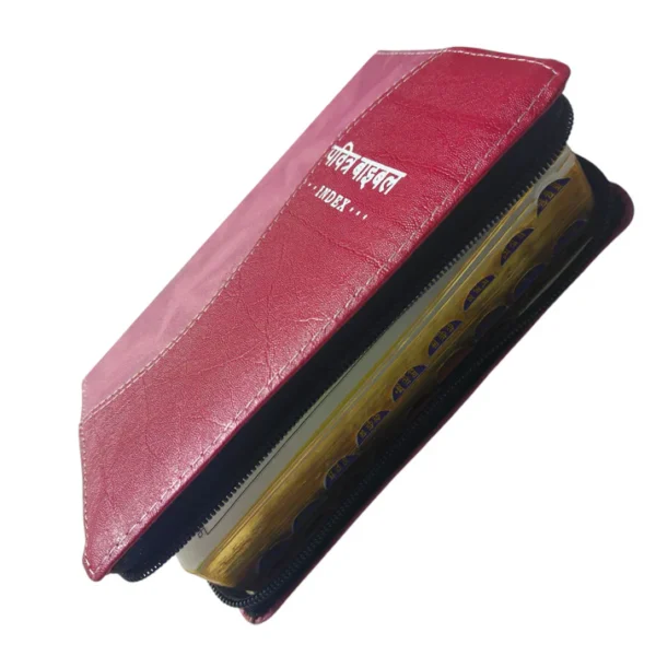 Compact Hindi Bible Pink and Red