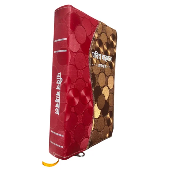 Compact Hindi Bible Red and Golden