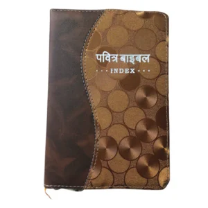 Compact Hindi Bible BROWN AND GOLDEN