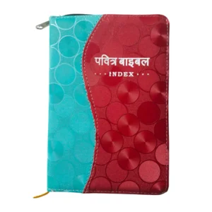 Compact Hindi Bible blue and red