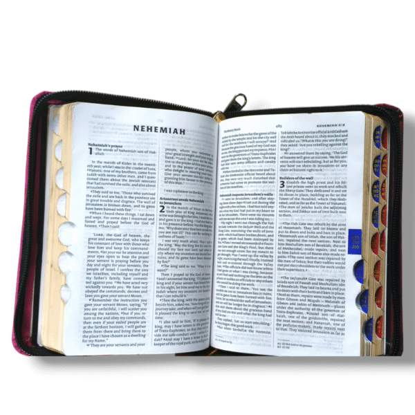 NIV Compact Edition
