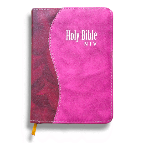 NIV Compact Edition