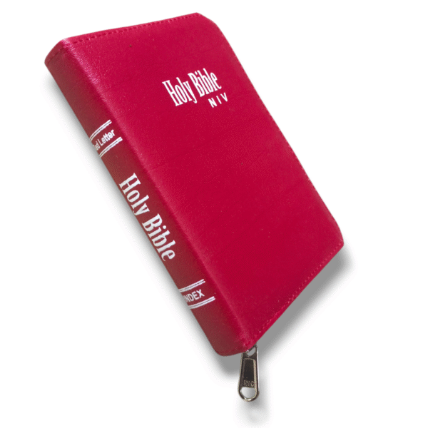NIV BIBLE D2