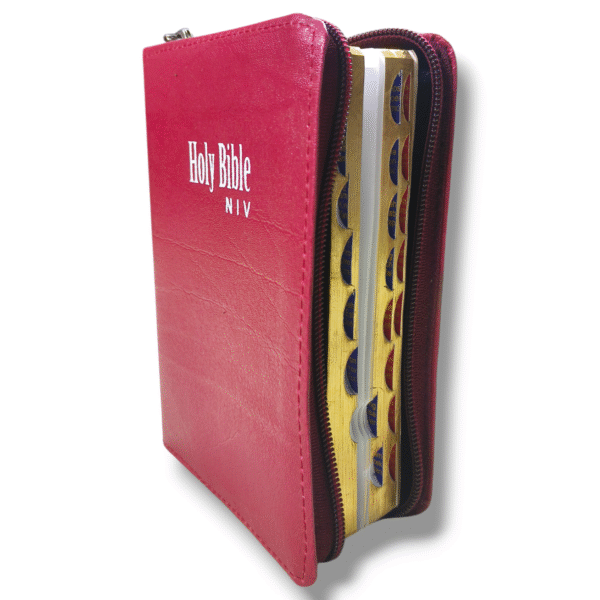 NIV BIBLE D2