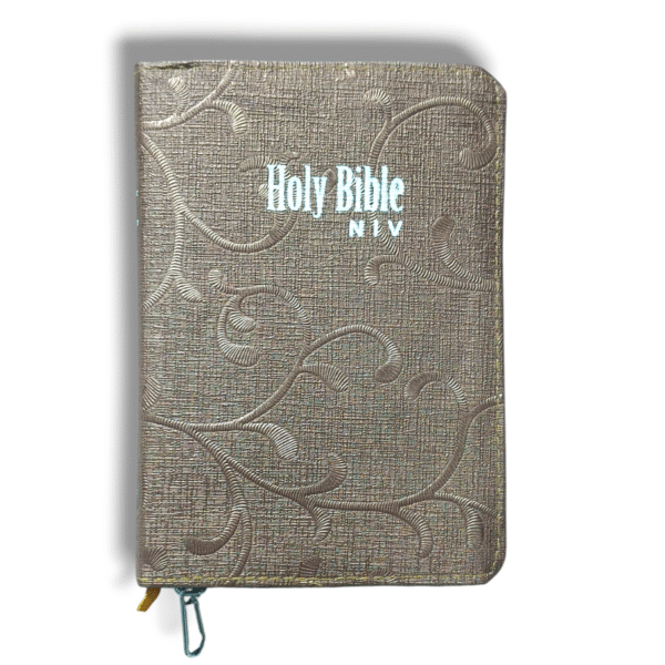 NIV BIBLE D d3