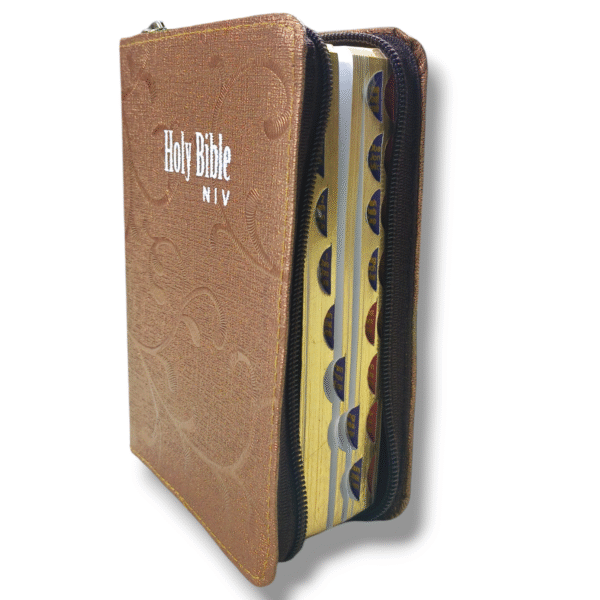 NIV BIBLE D d3
