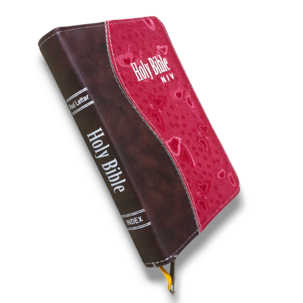 BUTTERFLY BIBLE