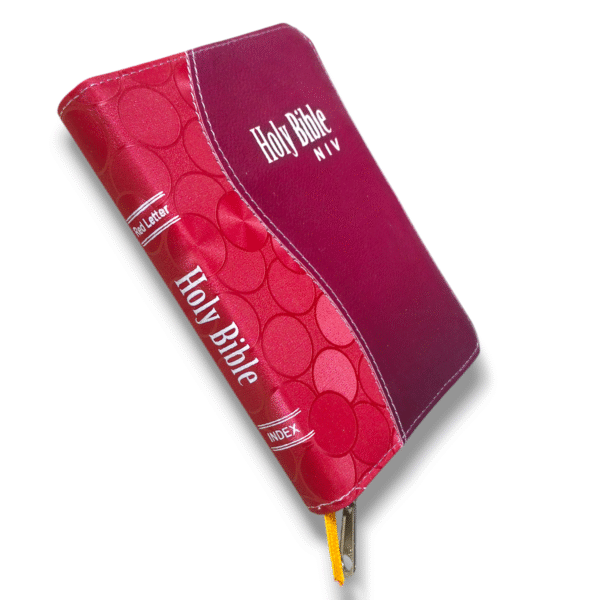 NIV BIBLE D5