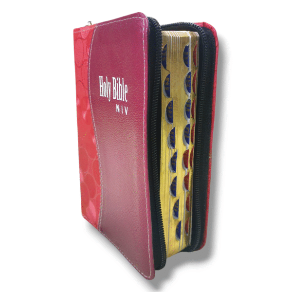 NIV BIBLE D5