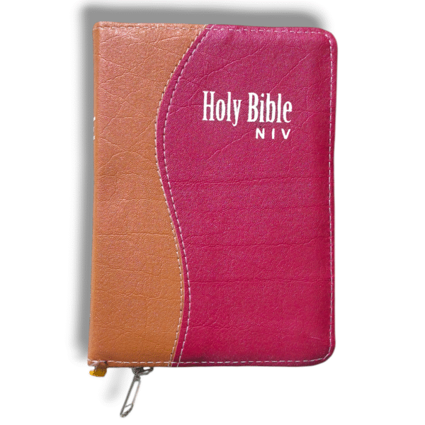 NIV ENGLISH BIBLE D7